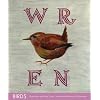 Birds Notecards (Deluxe Notecards)