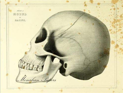 French Paper Dining Placemats - Set of 12 (Skull)