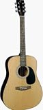 J. Reynolds 65 Dreadnought Guitar - Natural