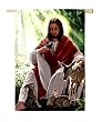 Jesus with Animals Silk Reflections Regular Size Flag