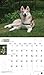 For the Love of Siberian Huskies 18-Month 2015 Calendar