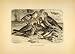 1885 Lithograph Buntings Birds Old World Specie Passerine Seed-eating Habitat - Original Lithograph 1885 Lithograph Buntings Birds Old World Specie Passerine Seed-eating Habitat - Original Lithograph