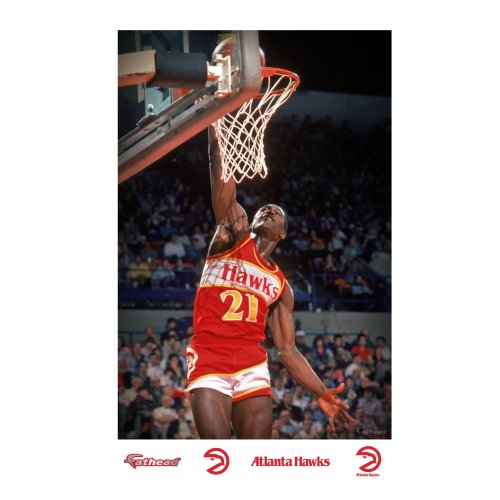 NBA Atlanta Hawks Dominique Wilkins Mural Wall Graphic