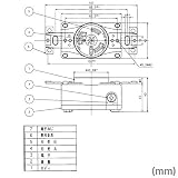 アメリカン電機 3310-L5 埋込コンセント 30A (定格:接地形2P 125V NEMA L5-30) (黒) SN