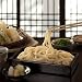 コシのある！手打ちうどん (4人前) 【秘伝のつゆ付き】