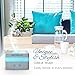 Aromique Gold Standard Essential Oil Diffuser 120ml Cool Mist Aroma Humidifier Aromatherapy eBooks Included with Adjustable Mist and 7 Magic Led Lights Auto Shut-Off for Home Office Baby Room