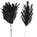 Package of 12 Black Curly Sparkling Feather Sprays