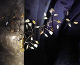 Designer Wand- und Deckenleuchte LOWARA von Lichtmehr