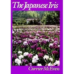 Japanese Iris