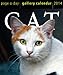 Cat 2014 Gallery Calendar