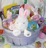 Deluxe Kids Purple Easter, Birthday, Get Well Soon, Big Sister, Big Brother Gift Basket - Candy, Games, Coloring, Activites, FUN! And a Webkinz Lil Kinz Rabbit