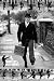 映画『MONTY PYTHON/モンティパイソン《Silly Walk》』ポスター