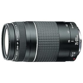 NEW CANON 6473A003 EF75-300 TELEPHOTO ZOOM LENS (CAMERA/FILM)