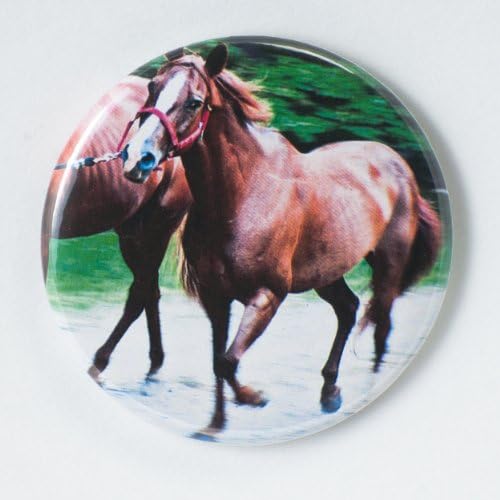Flat Art Purse Pocket Mirror - Original Nature Art Photo - Canter - Running Horse