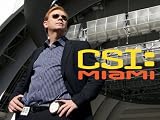 CSI: Miami, Season 9