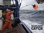 Deadliest Catch Season 4