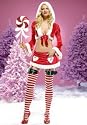 Christmas 2PC Miss Santa Claus Sexy Holiday Party Costume