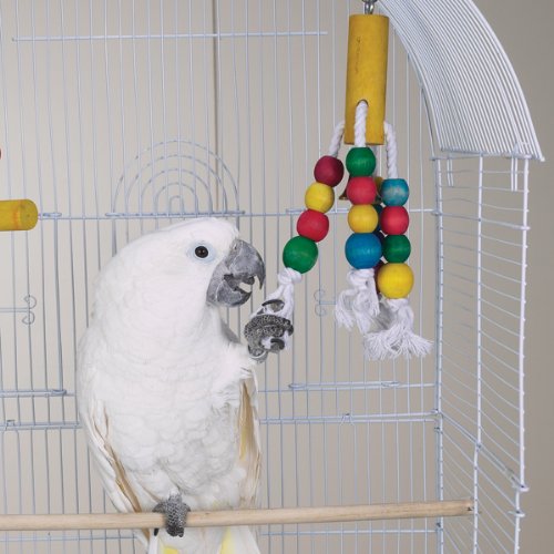FOUR WAY SHAPES - Brainy Bird Classic Series Toys