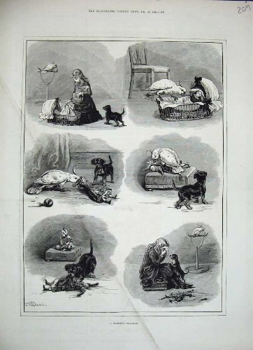 1884 Dadd Fine Art Little Girl Puppy Dog Bird Doll