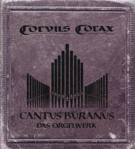 Corvus Corax Foto 6