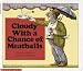 Cloudy With a Chance of Meatballs
