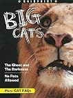 Big Cats Grade 4: Boldprint Student Edition