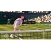 EA SPORTS Grand Slam Tennis