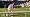 EA SPORTS Grand Slam Tennis