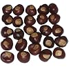 Buckeye Nuts - Nickel Size - Twenty-Five Nuts