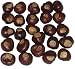 Buckeye Nuts - Nickel Size - Twenty-Five Nuts