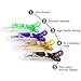 Queentools Transparent Alligator Hair Clips Hair Clamps Plastic for Women and Girl Professional Sectioning Hair Grip DIY Hair Accessories Multicolor Non-Slip for Thick Hair, Pack of 12pcs