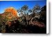 Courthouse Butte and a Canvas Print / Canvas Art - Artist RAUL TOUZON