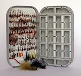 Fly Box + 100 Assorted Fly Fishing Fly Package