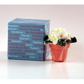 "I'm Sorry" Novelty Candle