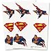 Search : Superman Tattoos 2 Sheets