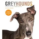 Greyhounds