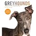 Greyhounds