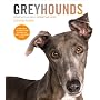 Greyhounds