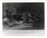 IMAGE OF Historic Print (M): Native Californians lassoing a bear / F.O.C. Darley, fecit ; Francis Holl, sculp.