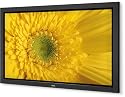 NEC PlasmaSync 42XP10 - 42" &eacute;cran plasma - 720p