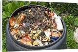 Canvas Prints of MAB-391 Compost / wormery - worms visible amongst variety of kitchen waste from Ardea Wildlife Pets