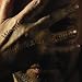 Gritty (feat. Chris White, Katrina Rubolowska, Chris Whitten,... em Transferências de MP3 relacionados com o nome: 51FgXtWMuRL._SL75_