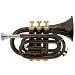 Musical Instruments : Cecilio 2Series Black Nickel Plated w/ Monel Valves B Flat Pocket Trumpet w/ Case and Accessories