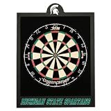 Michigan State Spartans NCAA Officially Licensed Dartboard Backboard