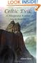 Celtic Evil:: A Fitzgerald Brother Novel Roarke