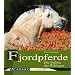 Fjordpferde - die Falben der Wikinger