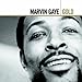 marvin gaye - pride and joy