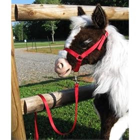 Butterscotch S'mores Furreal Horse Halter & lead - Red