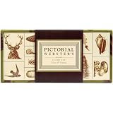 PictorialWebster'sStampSet