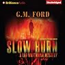 Slow Burn: A Leo Waterman Mystery, Book 4